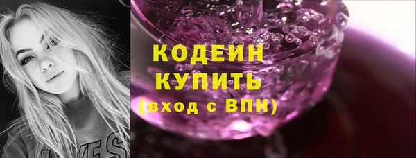 спиды Богородицк