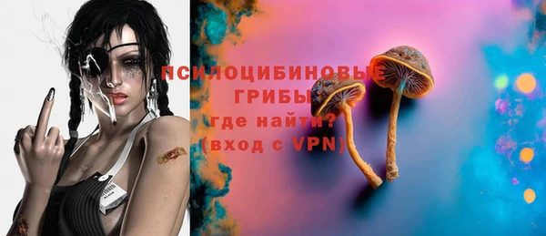 спиды Богородицк