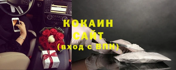 шишки Богородск