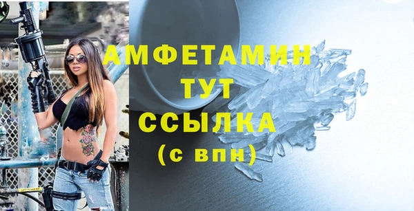 спиды Богородицк
