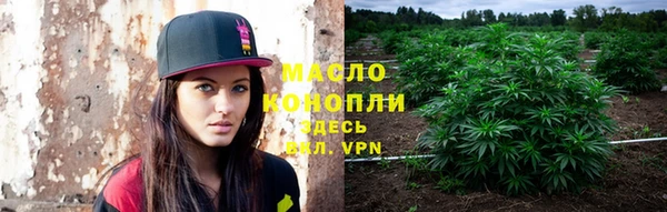 спиды Богородицк