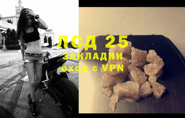 спиды Богородицк