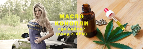 спиды Богородицк