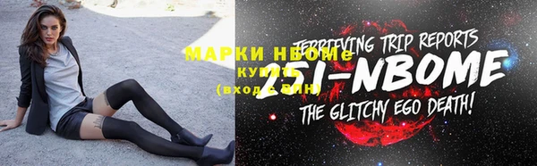 шишки Богородск