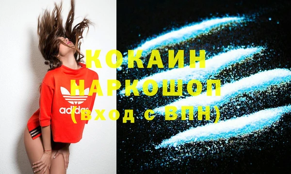 спиды Богородицк